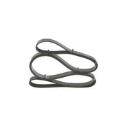 BOSCH - 1987946046 - V-Ribbed Belt